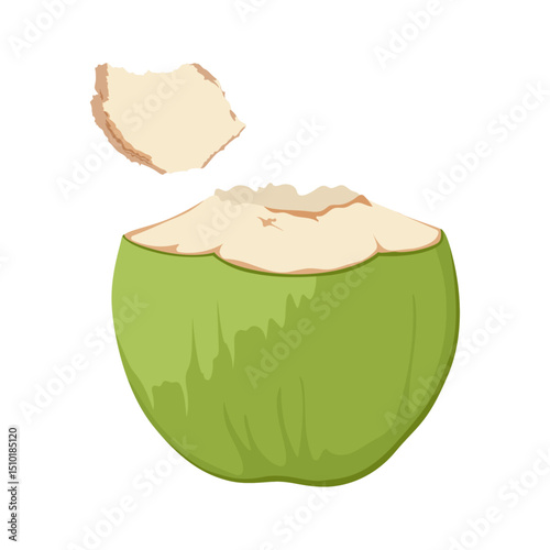 Open green coconut. Hand drawn drinking coconut. Beach cocktail. Beach party.