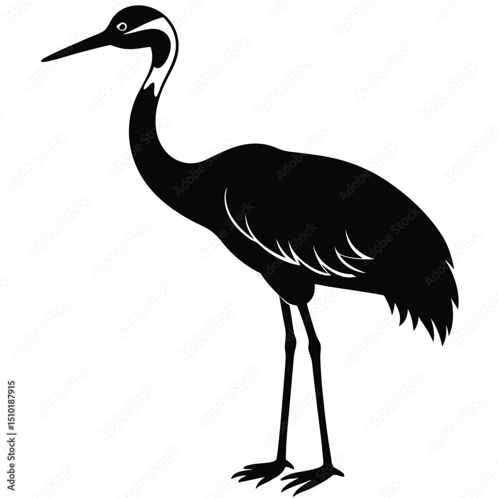 Obraz premium WHOOPING CRIHE VECTOR