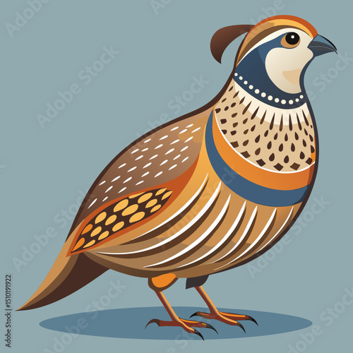 vector illustration of a chicken