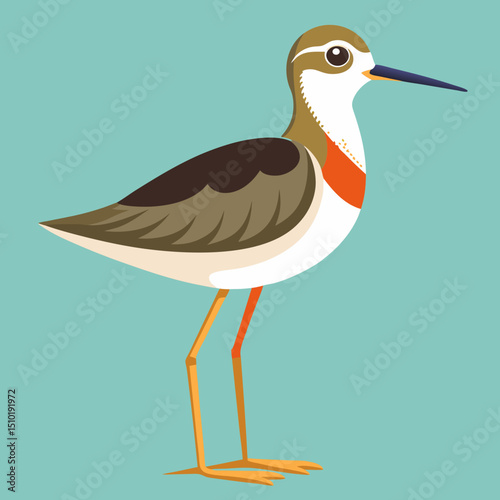 vector illustration of a bird