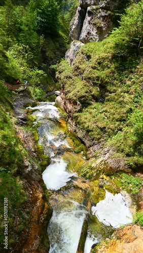 wildromantischer Wasserlauf der Palfauer Wasserlochklamm (4)