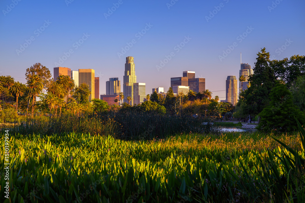 Sunset view of downtown Los Angeles skyline seen from Echo Park with foreground greenery and palm trees. Sunset view of downtown Los Angeles skyline seen from Echo Park with foreground greenery and palm trees.