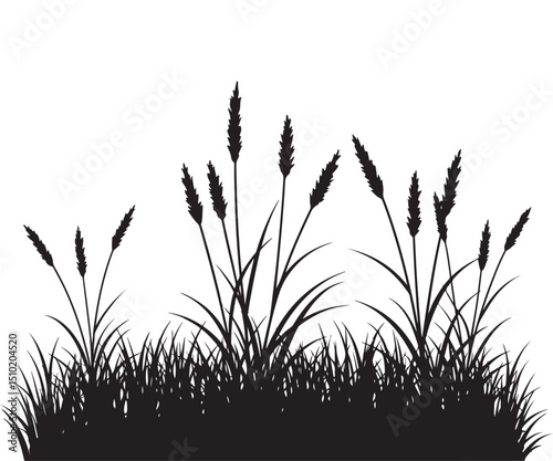 Black grass vector silhouette

