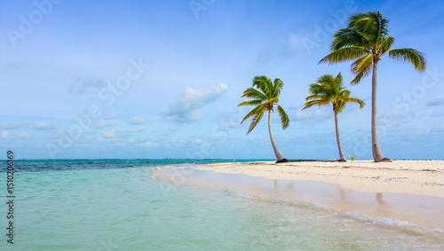 Fototapeta Naklejka Na Ścianę i Meble -  Peaceful tropical beach paradise with turquoise waters, powdery white sand, and swaying palm trees under a cloudless blue sky – a dream getaway.