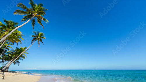 Fototapeta Naklejka Na Ścianę i Meble -  Serene tropical beach scene with palm trees, white sand, and turquoise water reflecting the clear blue sky – perfect vacation destination.