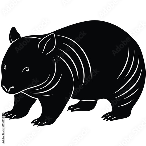wombat vector
