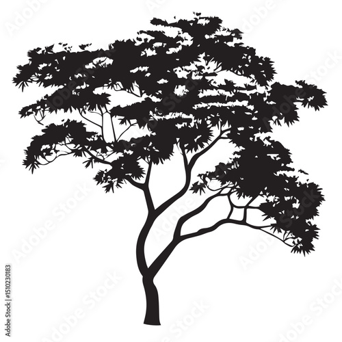 image of a beautiful spreading tree with a lush crown, vector, black and white graphics
