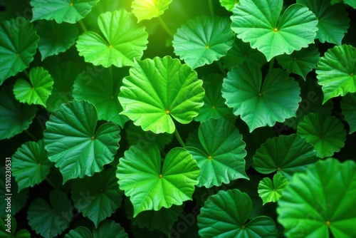 Intricate green shapes intertwine with lush foliage, creating an abstract visual experience , botanical, design, floral