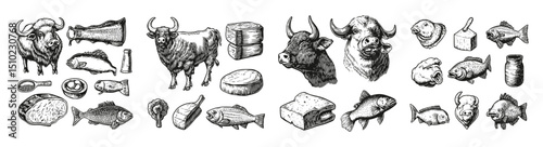 Vintage Engraved Farm Animals and Meat Products Illustrations, vector illustration, engraving design, logo design set, black and white line, template design element