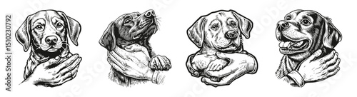 Detailed Illustrations of Puppy Care and Training Techniques, vector illustration, engraving design, logo design set, black and white line, template design element