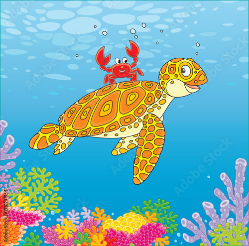 Funny sea loggerhead turtle...