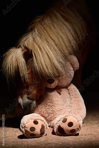 Wunderschönes Shetlandpony in magischem Licht scheint mit Teddybären zu kuscheln