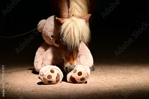 Wunderschönes Shetlandpony in magischem Licht scheint mit Teddybären zu kuscheln