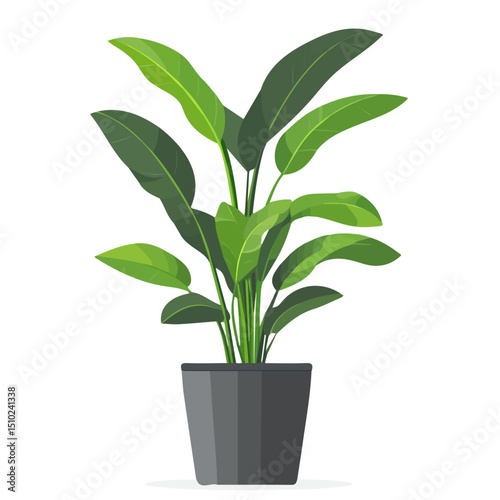 Tall Plant Pot vector 2D flat illustration, isolated on a white background.