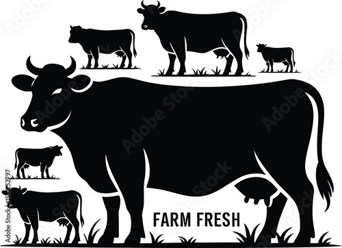 black and white cows, dairy cow vector, farming icon