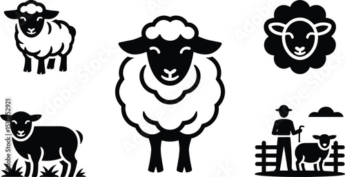 sheep and lamb, domestic animal, sheep breed, sheep meat, sheep