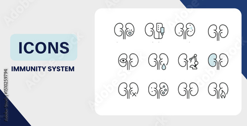 Modern Immunity System Icon Set Featuring Kidney Health and Medical Conditions for Healthcare Design