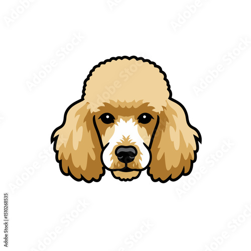 Cream color poodle face vector. Pet month, adoption fair, care and love for animals. Vet clinics, grooming salon, dog food. Types of breed and coat color