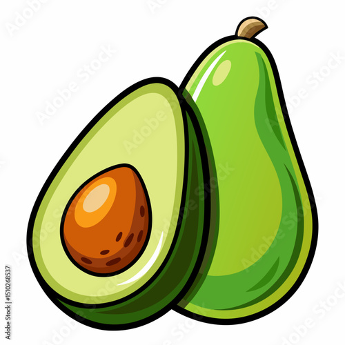 vector illustration of an avocado