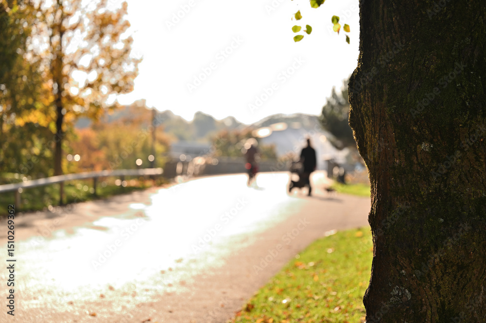 Fototapeta premium park sunny day pedestrian bridge background