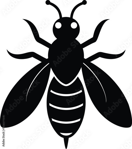 bee vector illustration