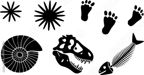 A simple, impactful graphic showcasing various prehistoric fossils including a spiral ammonite shell, dinosaur skull, fish skeleton, and animal footprints, ideal for educational materials, nature-them