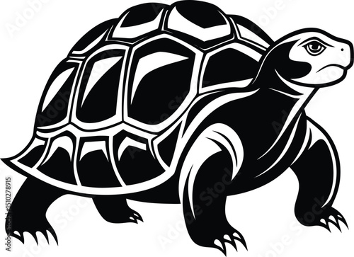 turtle vector illustration