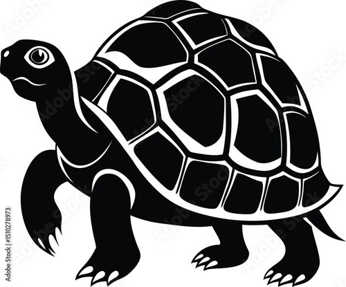 turtle vector illustration