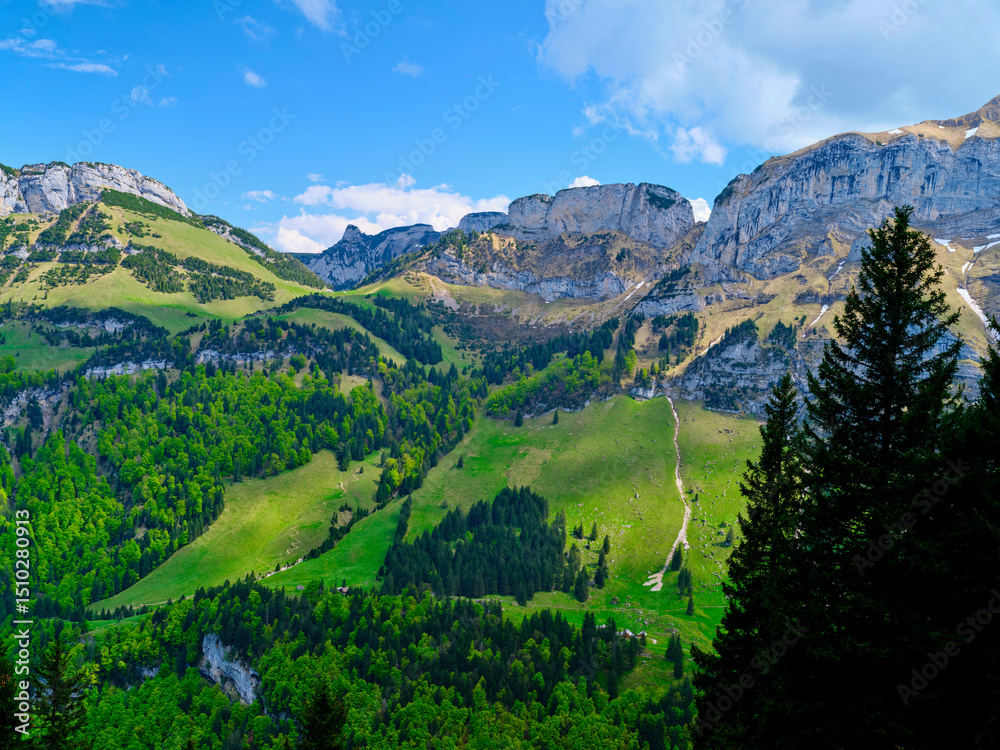 Obraz premium Mountains and lush greenery create a serene landscape under a bright blue sky in early afternoon