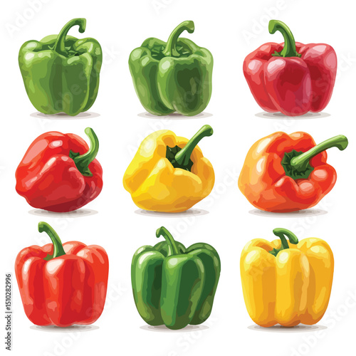 Detailed Vector Illustration of Fresh Pepper Vegetable Isolated on White Background