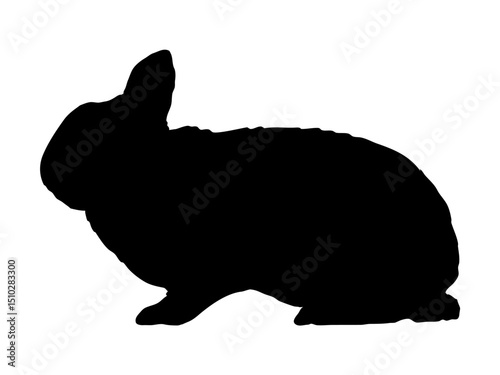 Silhouette of sitting domestic rabbit. Realistic vector animal