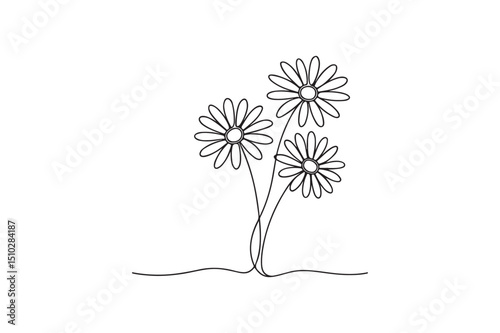 daisies continuous one line drawing minimalism design