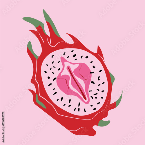 Dragon fruit, pitahaya with outlines female labia. Vulva