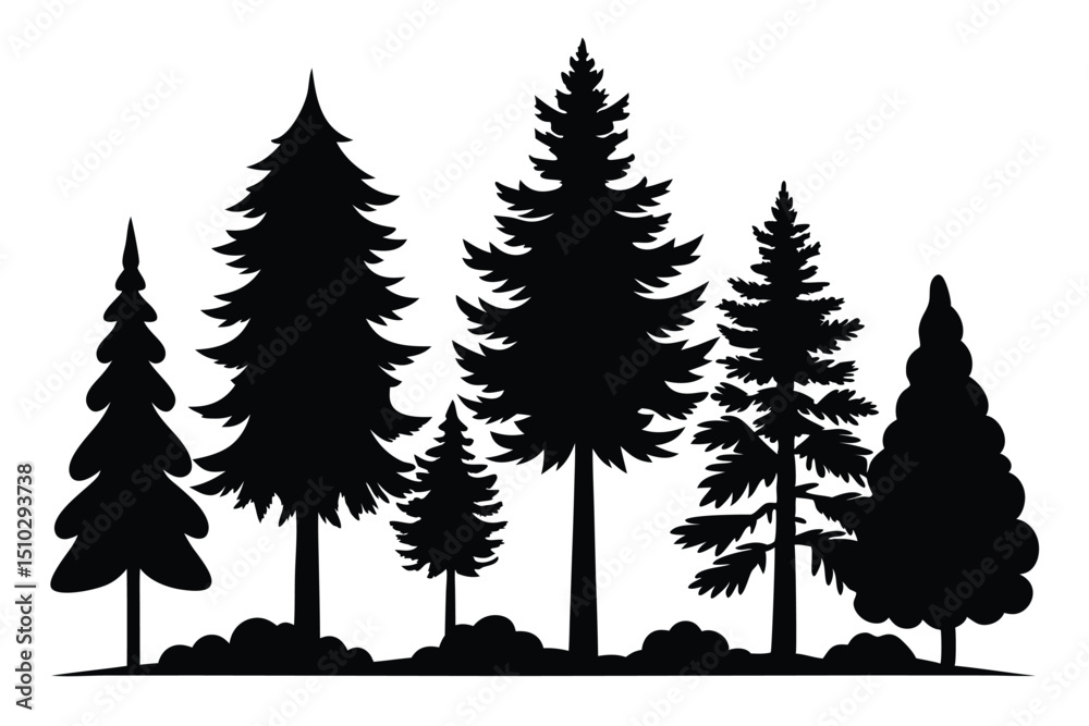 Obraz premium Silhouettes of evergreen trees in a forest scene