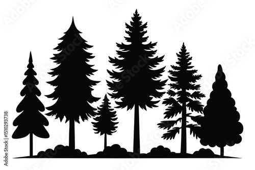 Silhouettes of evergreen trees in a forest scene