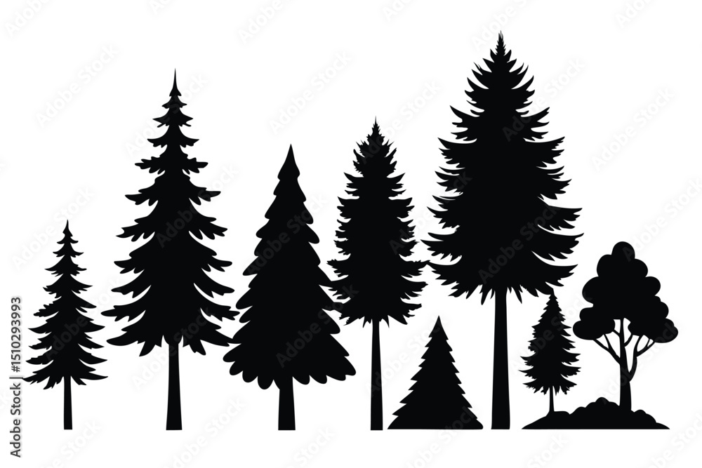 Obraz premium Silhouettes of various evergreen and deciduous trees in a forest