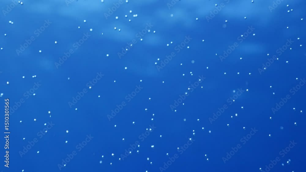 bubbles slow motion underwater coming up scenery dark blue backgrounds