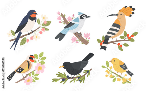 Cute illustrations of swallow, bluebird, hoopoe, goldfinch, blackbird and canary. Vector set of cartoon birds on different branches on white background.

