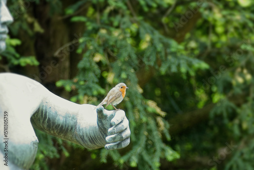 European robin (Erithacus rubecula) sitting on the hand of a statue in Zurich, Switzerland