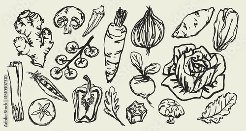 Doodle Elements of Vegetables and Fruits - Hand-Drawn Illustration