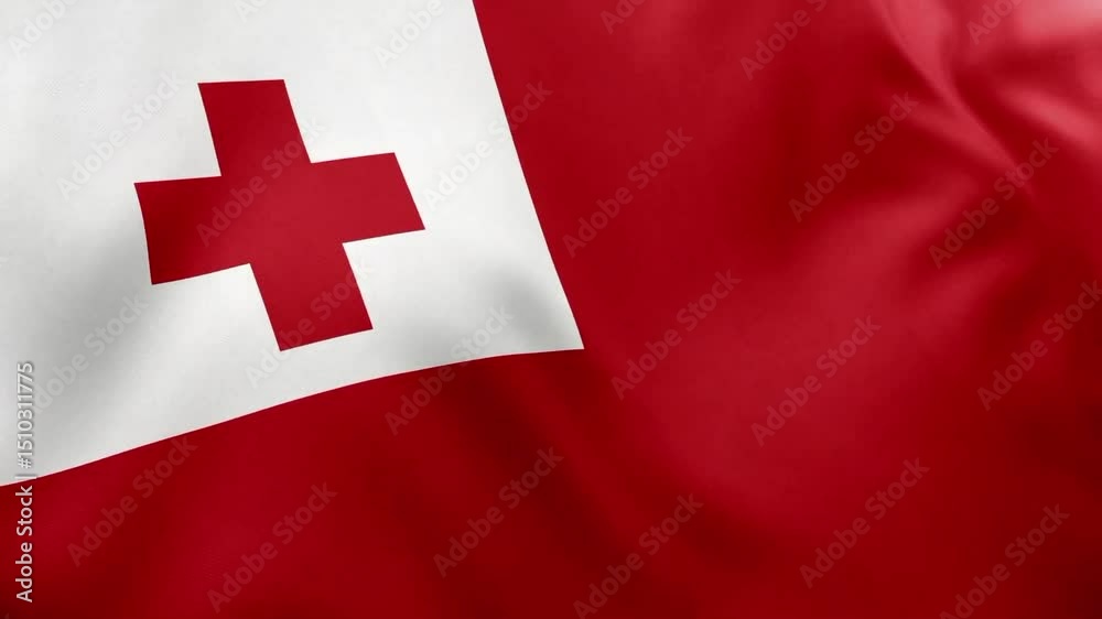 flag of tonga