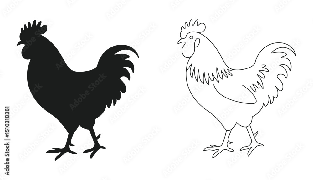 Fototapeta premium Vector illustration of two roosters one a silhouette and the other a line drawing on white