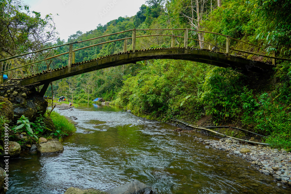 A curved bamboo bridge crosses a rocky river surrounded by dense, lush forest. A curved bamboo bridge crosses a rocky river surrounded by dense, lush forest.