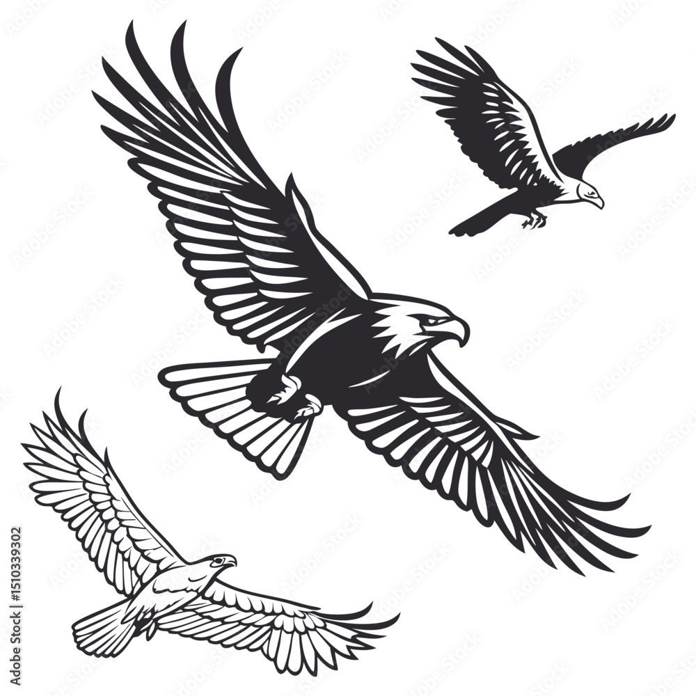 Fototapeta premium Three Eagles in Flight Black and White Vector Illustration