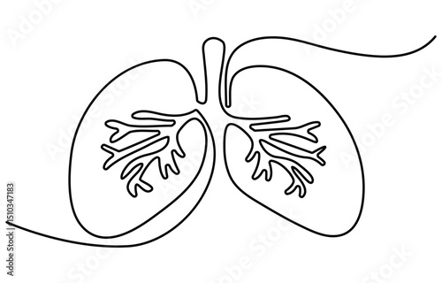 Simple continuous one line drawing of human lungs. Single line human anatomical of lungs . Doodle line illustration.