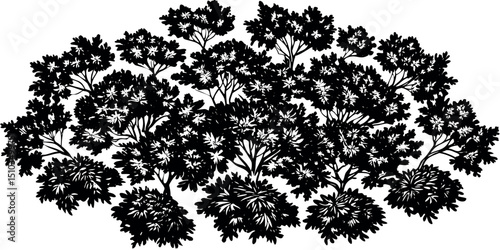 Lush black and white treetop silhouette illustration