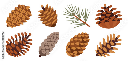 Collection of Various Pine Cones and Pine Branch