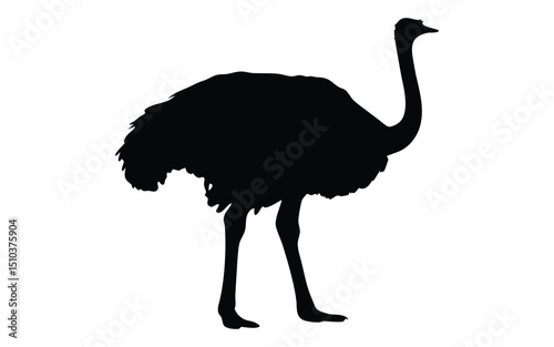 Ostrich vector silhouette