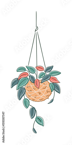 Stylized drawing of kokedama with Tradescantia zebrina hanging on white background. Botanical DIY decor with eco-friendly mood and contemporary aesthetic