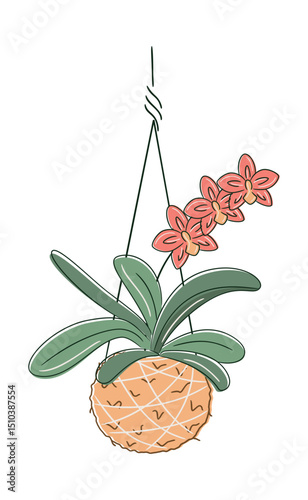 Minimalist botanical illustration. Elegant kokedama with blooming Phalaenopsis orchid hanging on white background. Perfect for nature, decor, and eco-home visuals